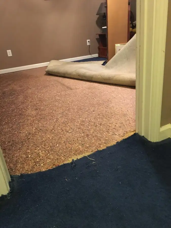 Carpet pad removal revealing water damage during Drying & Dehumidification in Blue Island
