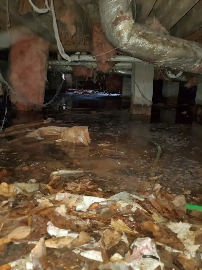 Crawl space flood assessment for Leak Detection & Repair in Blue Island