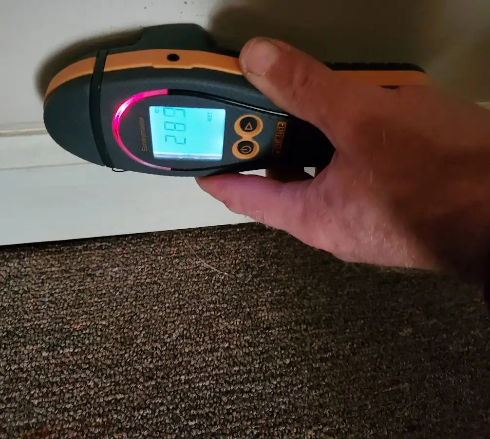 Moisture detection at baseboard during Sewage Cleanup & Sanitation in Blue Island